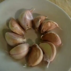 Purga de Ajo — Video