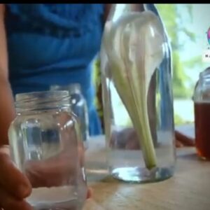 Hidromiel de Azucena — Video